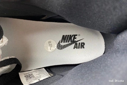 Panda” OG 65 Cozy “Reverse 1 DZ5485-010 Air High Jordan 0806